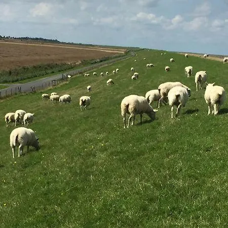 Apartament Luettje-auszeit *
