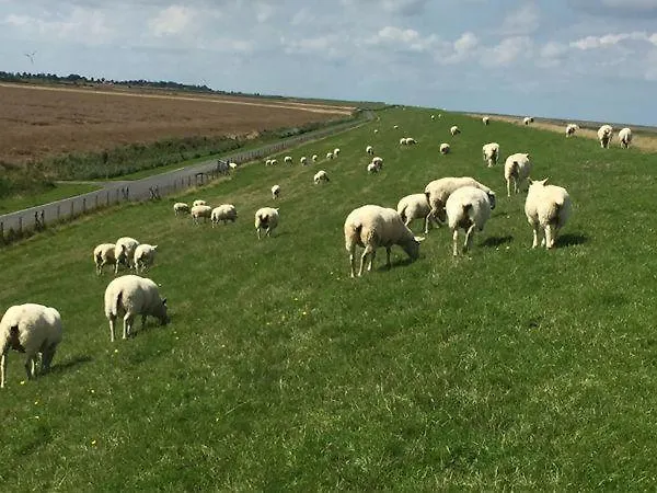 Daire Luettje-auszeit *